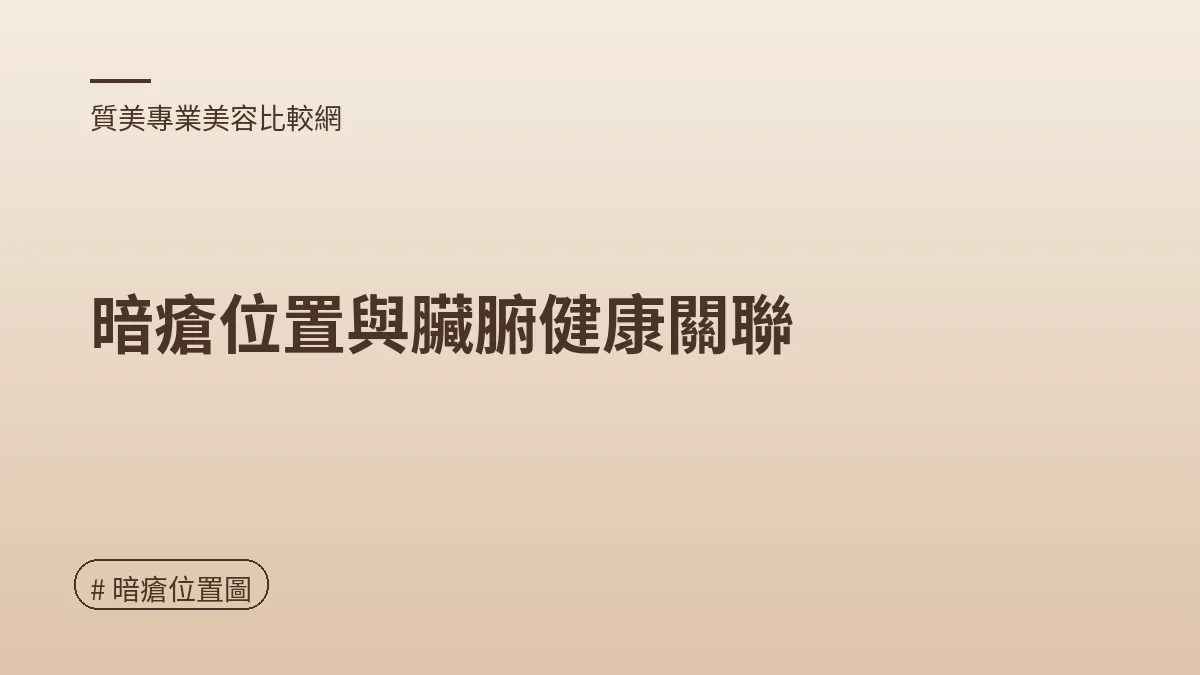 圖解：暗瘡位置與臟腑健康關聯（暗瘡位置圖重點）