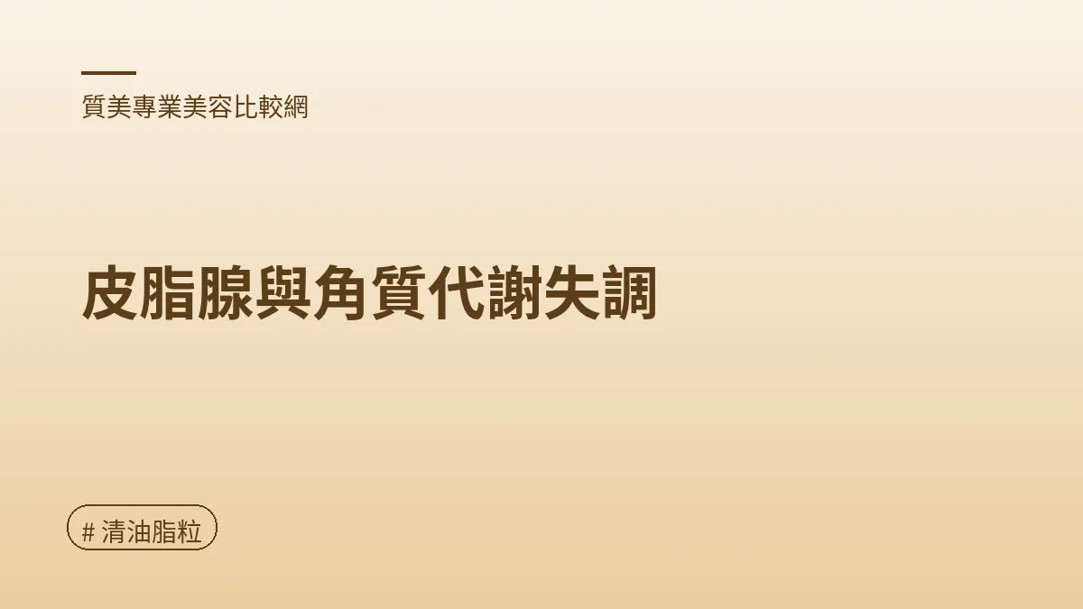 圖解：皮脂腺與角質代謝失調（清油脂粒重點）