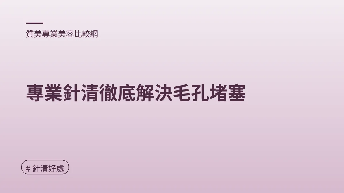 圖解：專業針清徹底解決毛孔堵塞（針清好處重點）